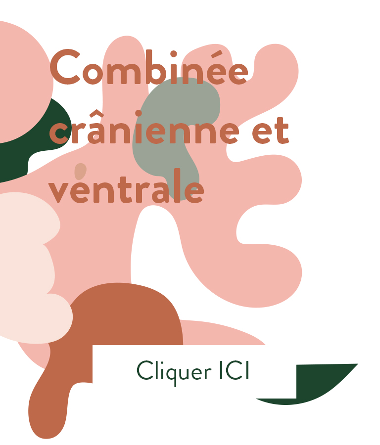 reflexologie combinée crânienne et ventrale Chi Nei Tsang à Annecy